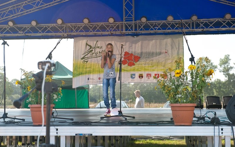 PIKNIK 2012 053